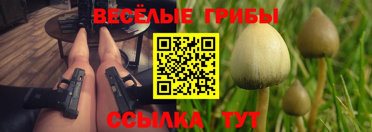 Галлюциногенные грибы Cubensis  Вход с VPN  Кинель 